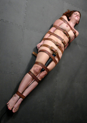 Hogtied Model