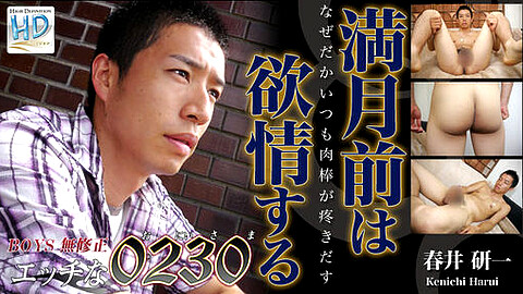 Kenichi Harui H0230 Com