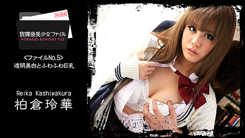 Reika Kashiwakura Porn Star