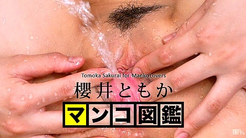 Tomoka Sakurai ピンク色の膣口