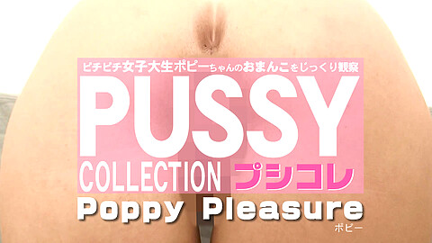 Poppy Pleasure シリーズ物
